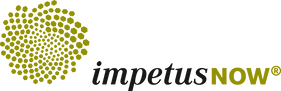 impetusNOW, Partner von MindLINK